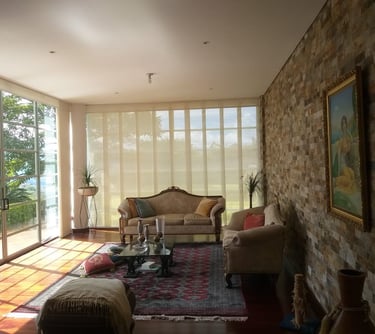 persiana panel japones