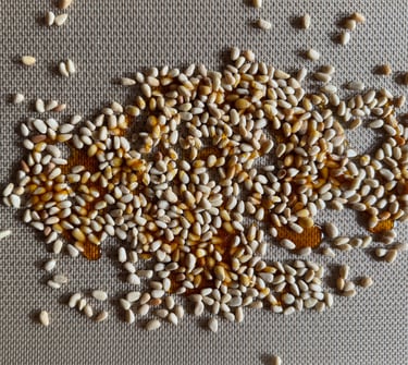 Praliné pignon de pin