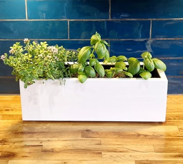 indoor herb planter box made from wood painted in colour white 