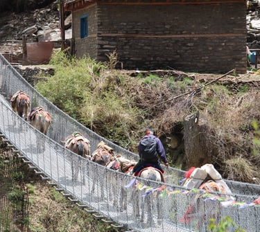 Bridge in Phoksundo trek