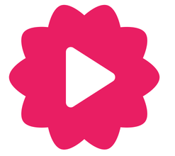 a pink flower with a video player on the screen