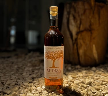 Vigate: Xudiza Impronta
