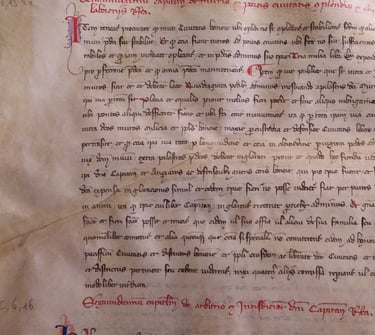 A page with abbreviated legal text from 1335 Bologna.