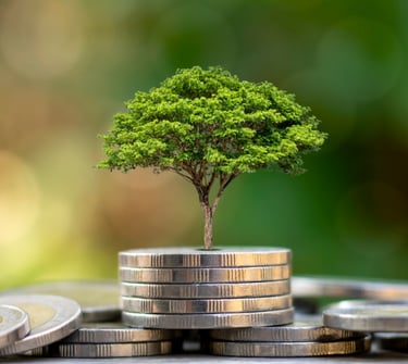 uma árvore crescendo em cima de uma pilha de moedas