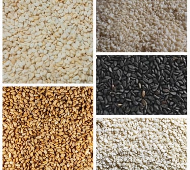 Biggest Sesame Seeds Exporters in Pakistan