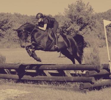 Massage cheval sportif 