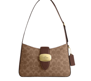 yellow app dhgate finds coach eliza shoulder bag classic brown canvas