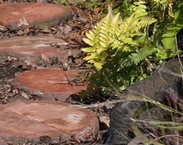 Gardeners' World Live 2024 Share my space with nature.