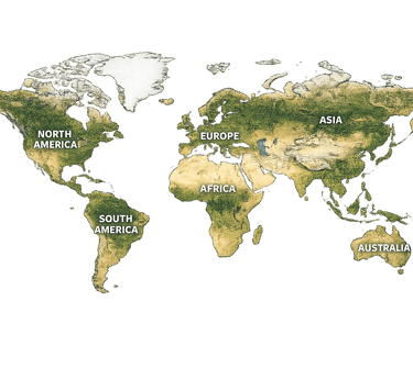 World Map