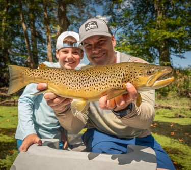 Zebra midges on the South Holston River 