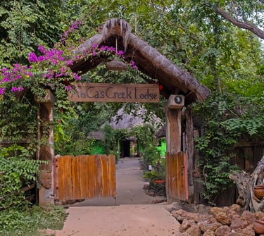 A serene view of Abca's Creek Lodge, featuring cozy wooden cabins nestled along a tranquil creek, su