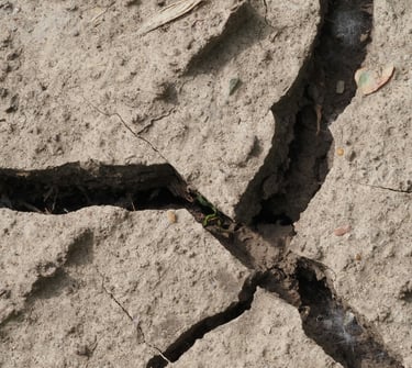 the image of land liquefaction early stage