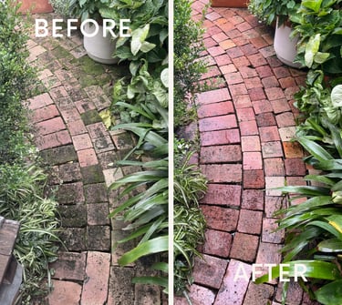 Before and after comparison of pressure washing a mossy brick garden path surrounded by lush plants.