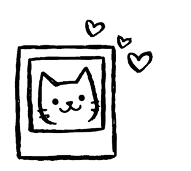 a cat in a square frame with a heart