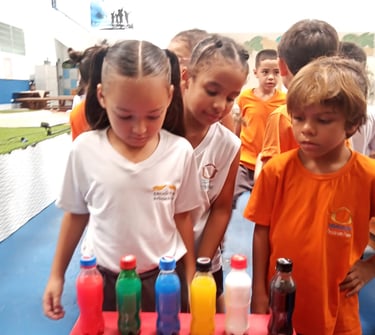Ensino Fundamental I Escola Educação Arca de Noé Praia Grande