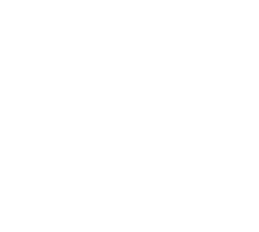 a stylized geometrical design of a fox head