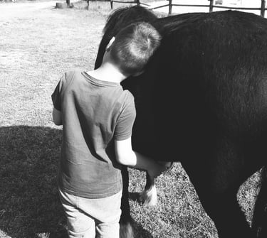 enfant de dos appuyant sa tête contre son poney lors d'une séance d'équithérapie 