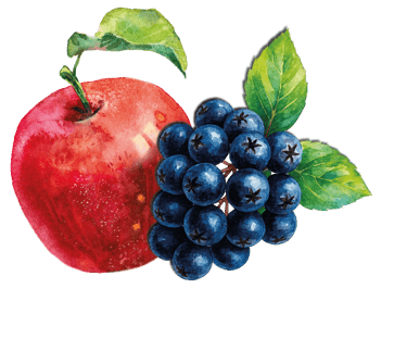 ein roter Apfel und eine Aroniabeere