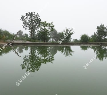 Bassin abreuvoir Sierre de Gredos Espagne