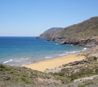 One of the many coves with fine sand and transparent waters that follow one another on the coast of