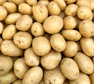 new potatoes in a pile