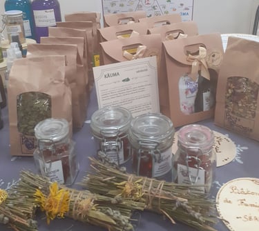 Herboristerie – plantes médicinales locales en Mayenne