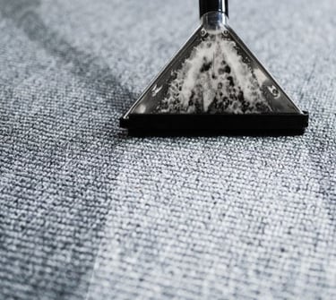 eden prairie mn carpet cleaner