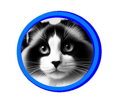 Le ragdoll traditionnel avec un v blanc sur la tête, se dit aussi bicolore.