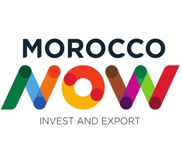 Morocco Now tourism logo