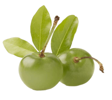 acerola