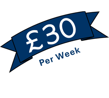 Remotivly Pro Plan for Remote Training Assistant, Teaching Assistant, Remote Travel Assistant