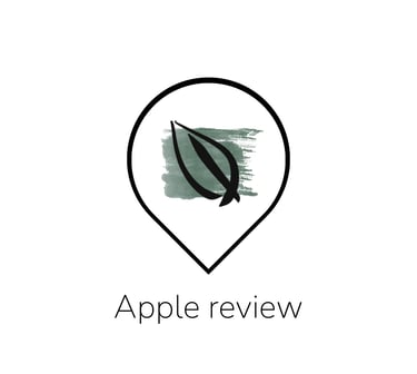 apple maps review