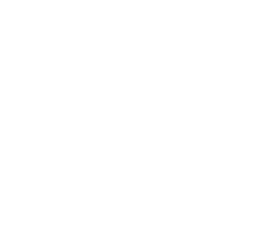 Decorative minimalist white arrow icon, used as a list marker