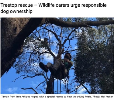 Treetop Rescue - Wildlife Carers Urge Responsible Dog Ownership
