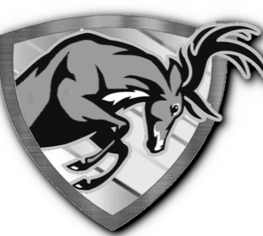 A.T.N.Y. BASKETBALL LEAGUE