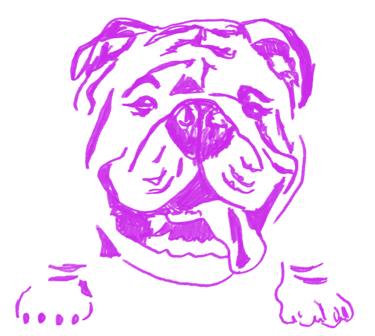 Violet line-art illustration of a bulldog – iconic PIECE OF K. branding mascot