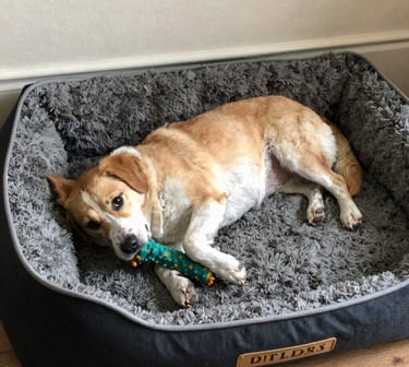 Bright living room with modern inventory