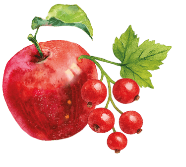 ein roter Apfel und eine Johannisbeere