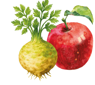 ein roter Apfel und eine Sellerieknolle