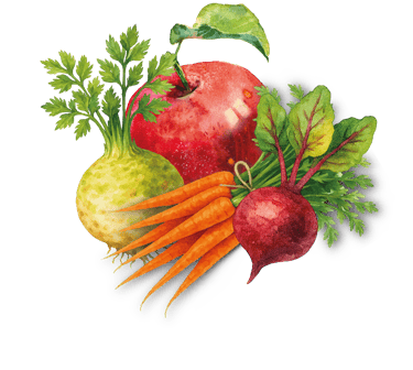 Ein roter Apfel, eine Sellerieknolle, eine rote Rübe & Karotten