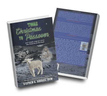 "Twas Christmas to Passover Book showing front and back covers sample.