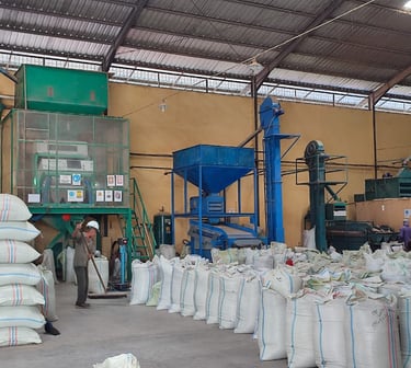 Large industrial coffee processing machines in Dwipa Coffee facility, sorting, cleaning, and milling