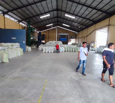 Operations inside the warehouse of green bean coffee  procesisng.