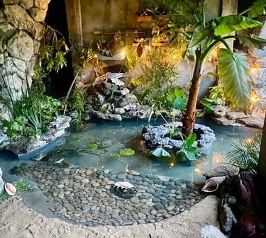 bassin intérieur