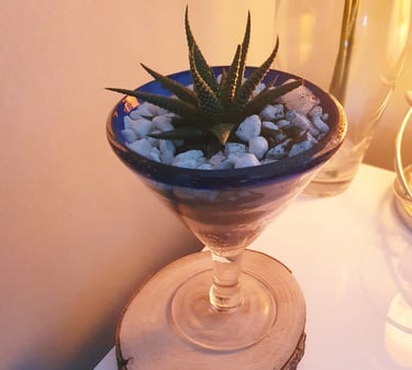 black craft by ck plant terrariums open terrarium sand plant sustainable nature hand crafted glass jar crystals independent