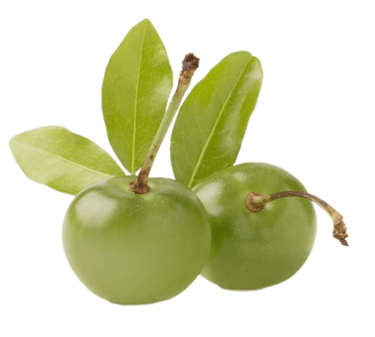 Acerola