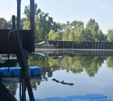 Výhled z oken ateliéru na lodi Jasmín Tůma