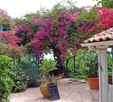 Notos Beach Korfu Villa Olivia Pentati