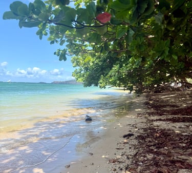 snorkeling Anini beach kauai