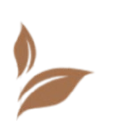 Deux feuilles d'un arbre